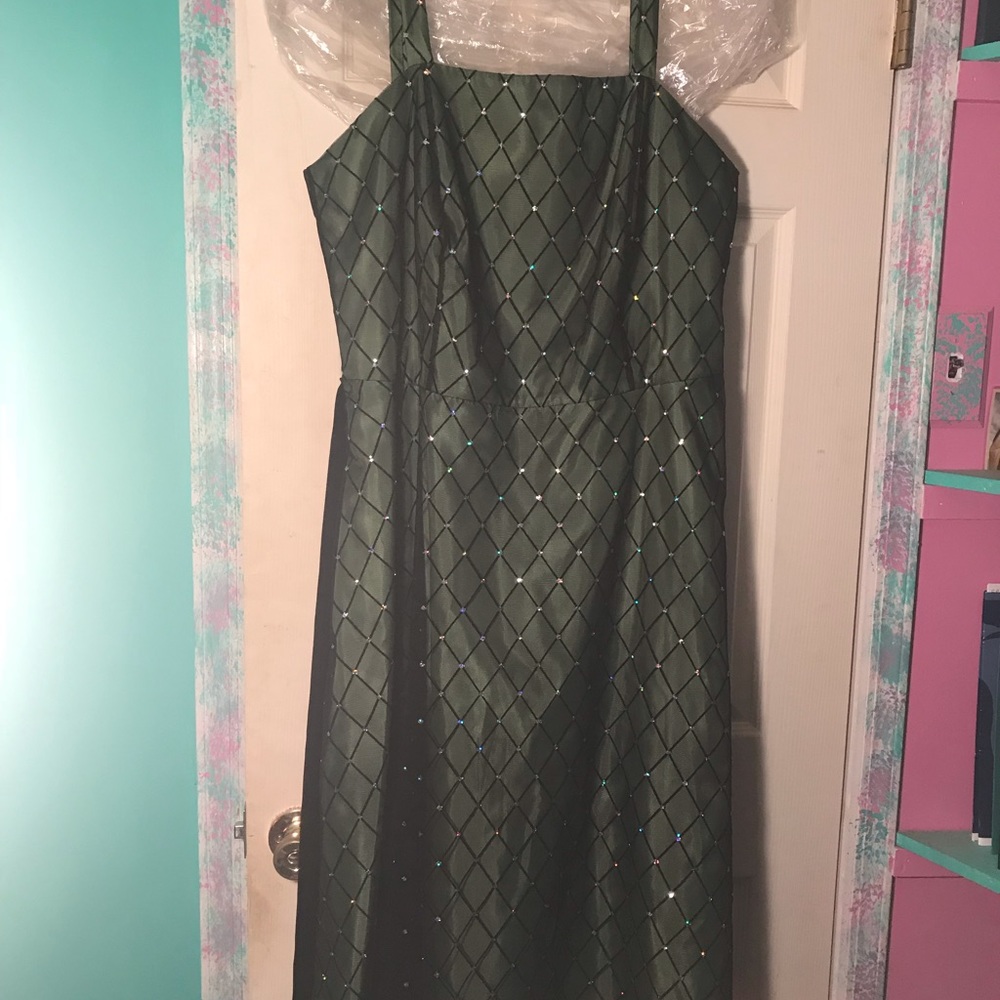 Dressbarn Collection Special Occasion Dress Plus